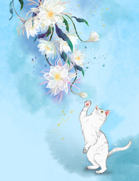貓貓插畫