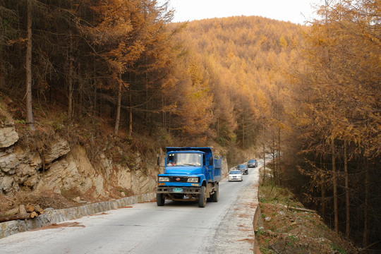 巫山梨子坪林场公路交通