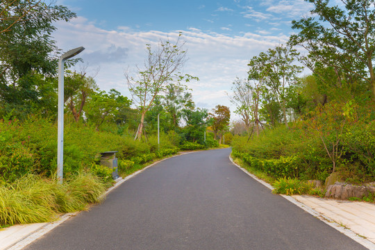 唯美风景