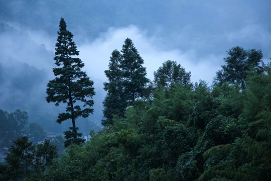 水墨远山