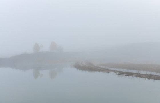 雾中秋景