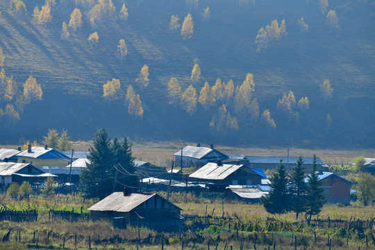 雾中秋景