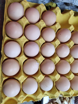 卖鸡蛋