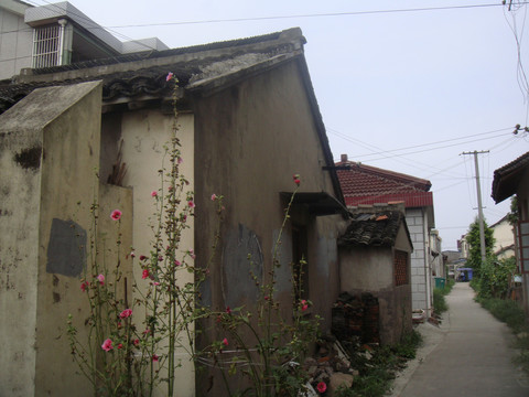 上海郊区农村