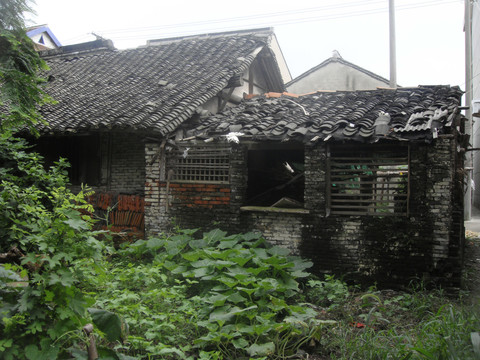 上海郊区农村