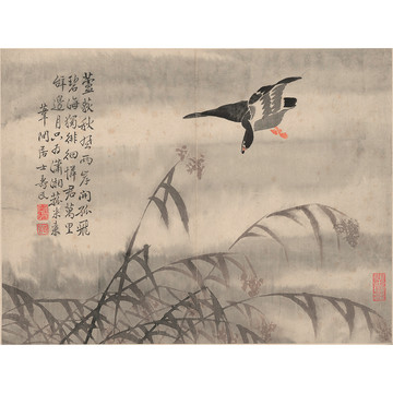 邊壽民蘆雁圖