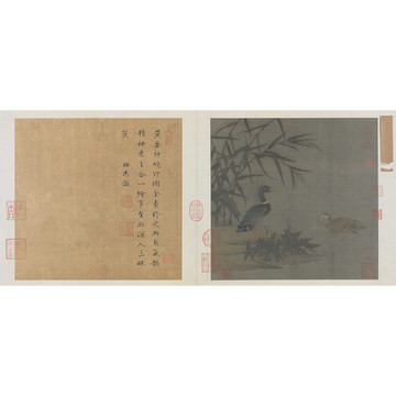 朱銳溪蘆野鴨圖