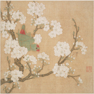 趙伯骕梨花鸚鵡圖