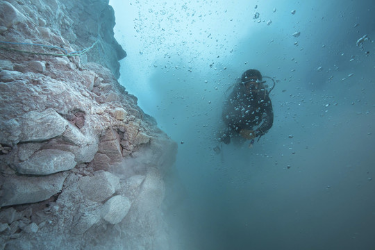 海洋底栖生物