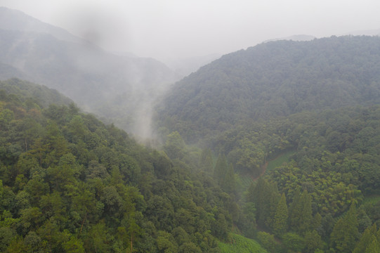 无人机航拍杭州龙井村19