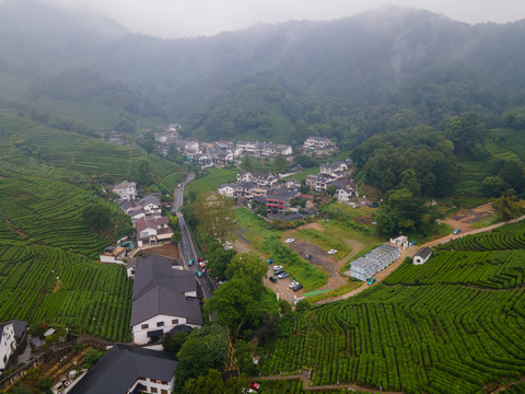 无人机航拍杭州龙井村41