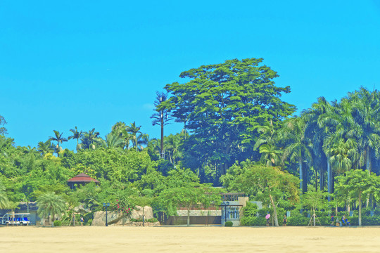 鼓浪屿植物园