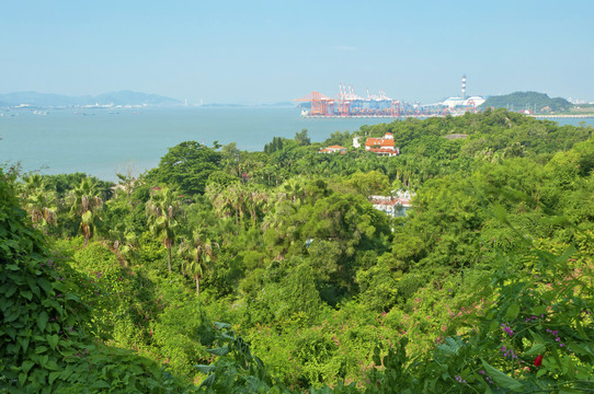 鼓浪屿华侨亚热带植物引种园