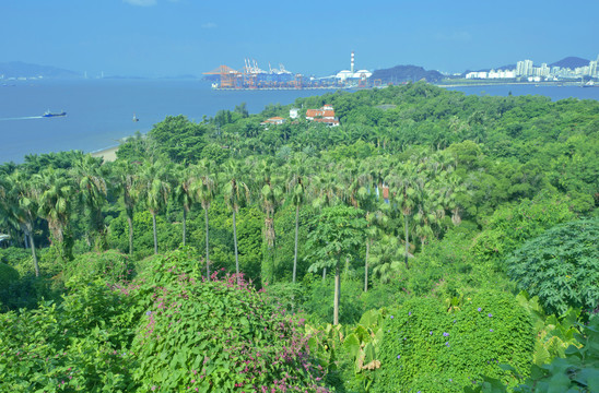 华侨热带植物引种园航拍风景