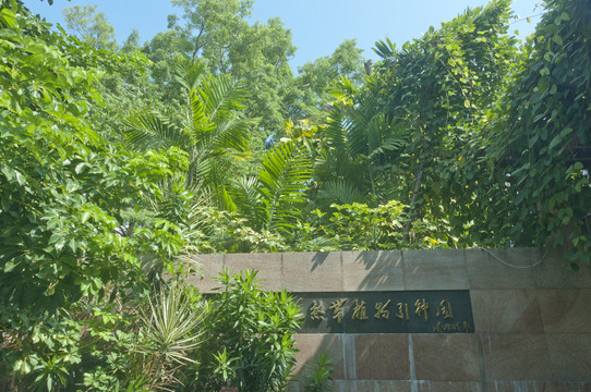 旅记华侨亚热带植物引种园