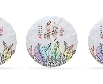 普洱茶餅包裝設(shè)計