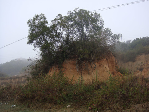 家乡山水