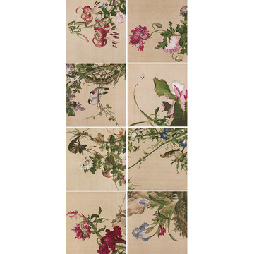 郎世寧花卉圖