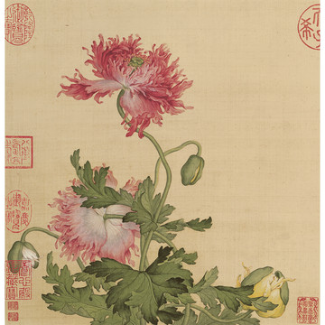 郎世寧花鳥圖