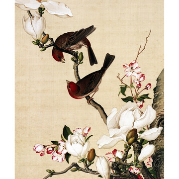 郎世寧海棠玉蘭圖