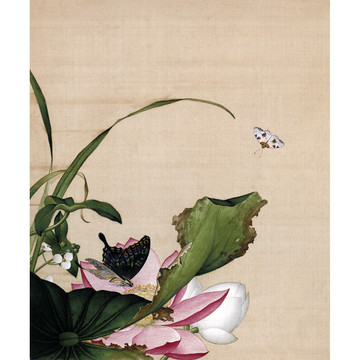 郎世寧荷花慈姑花圖