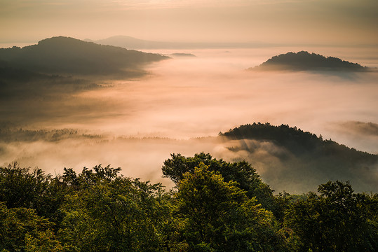 高山云雾