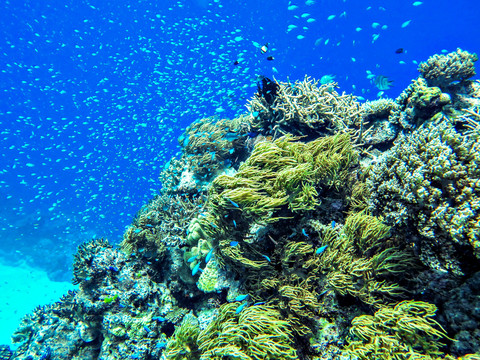 水族館