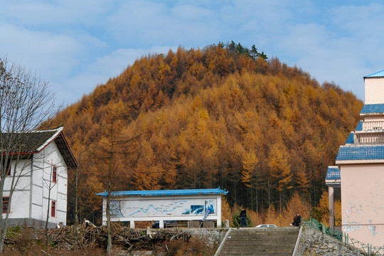 重庆巫山梨子坪森林公园