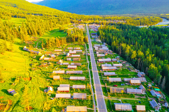 北疆秋景