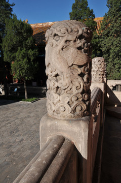 北京太庙祧殿石望柱凤柱