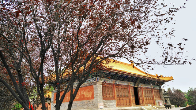 西岳庙