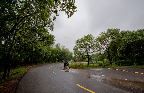 雨后湿漉漉的乡间道路