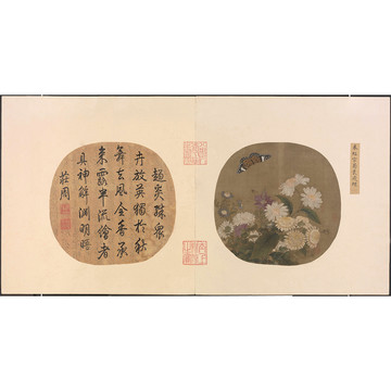朱紹宗書畫菊叢飛蝶