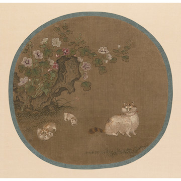 毛松麝香圖