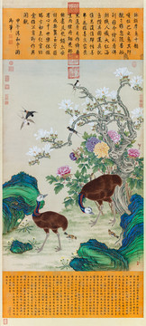 楊大章額摩鳥圖