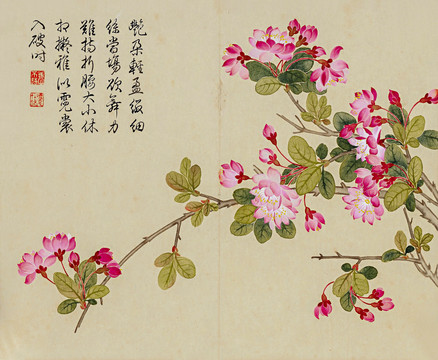 董誥花卉冊頁
