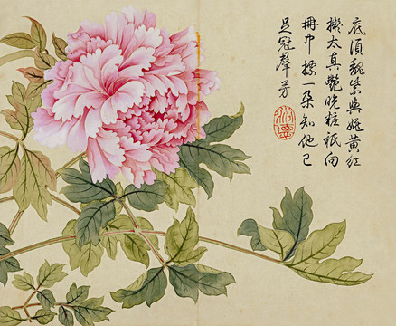 董誥花卉冊頁
