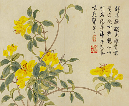 董誥花卉冊頁