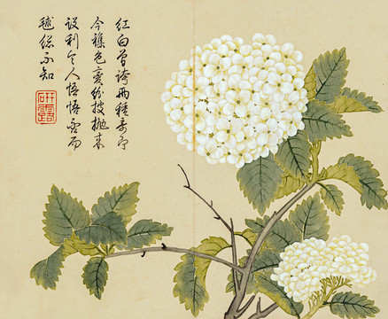 董誥花卉冊頁