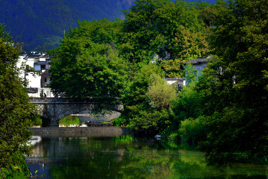 风景