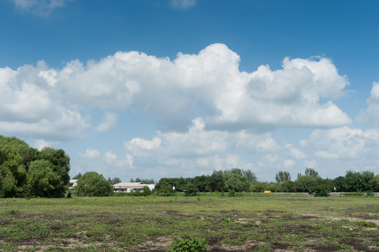 空旷的草地