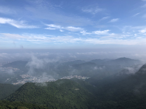 梧桐山