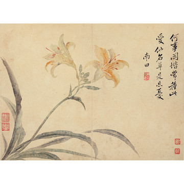 華巖花鳥草蟲圖