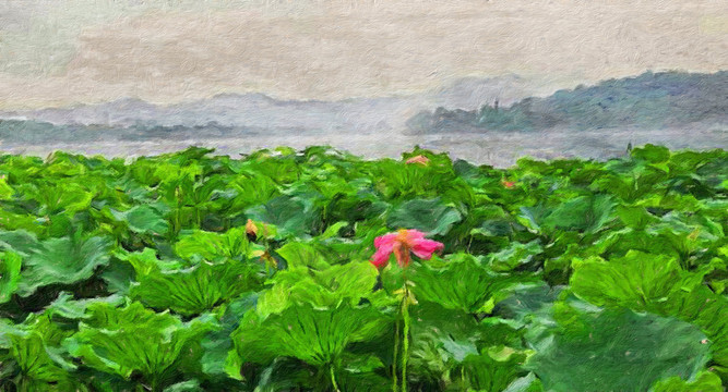 荷葉油畫