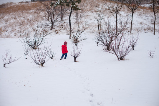 雪地里穿红衣服的小孩