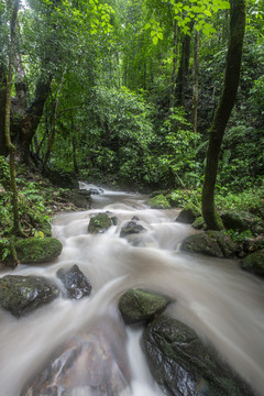 瑞丽莫里瀑布景区