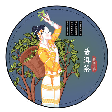 云南傣族采茶女普洱茶包裝插畫