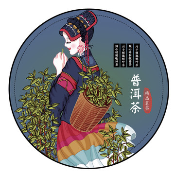 云南彝族采茶姑娘普洱茶包裝插畫