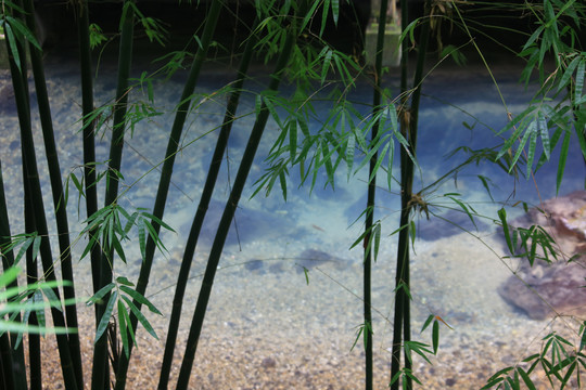 山水风景