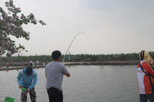 钓鱼户外休闲运动和相关鱼类图片